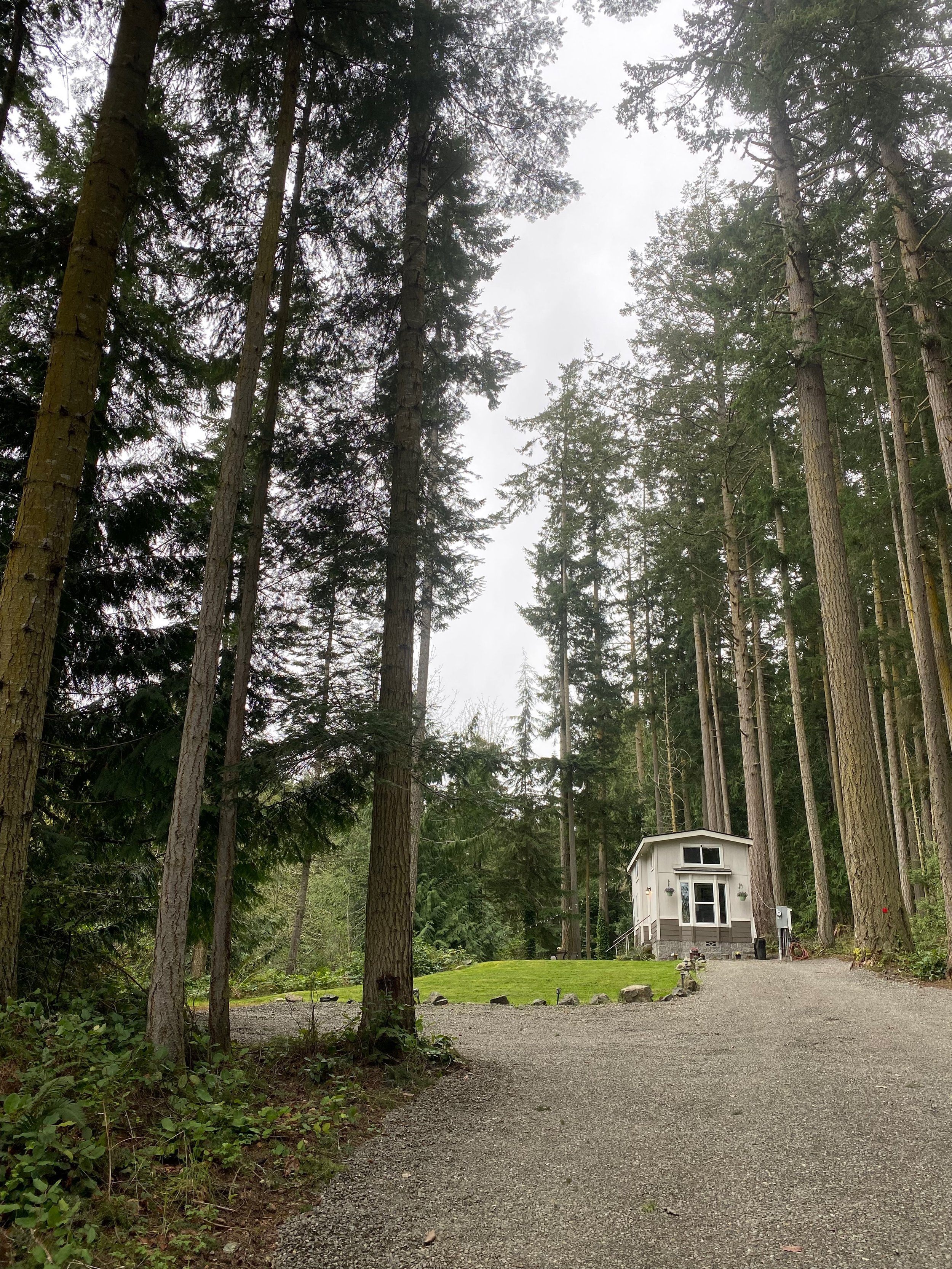 Eagles Nest Tiny House AirBnB