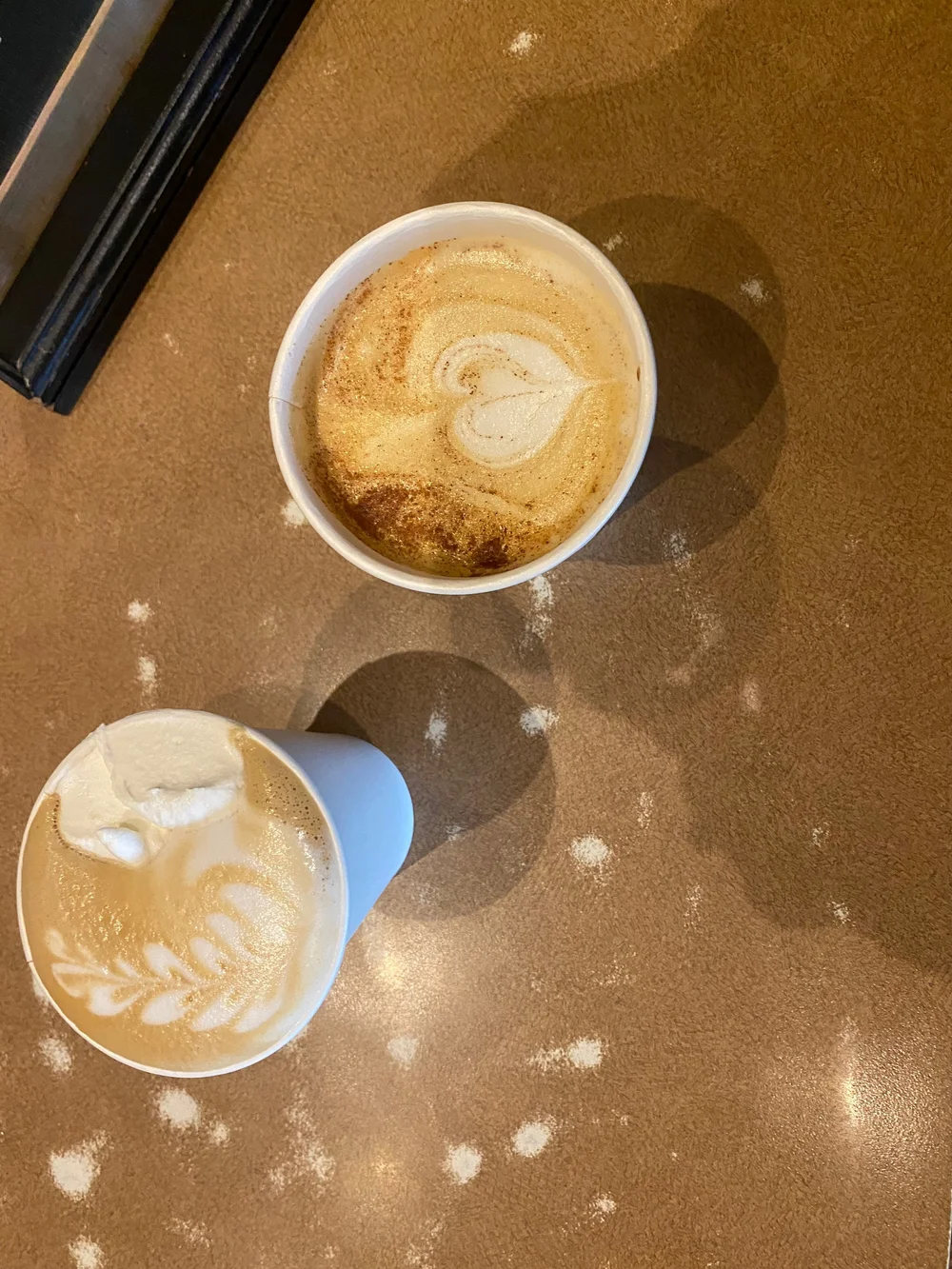 Velocity Coffee