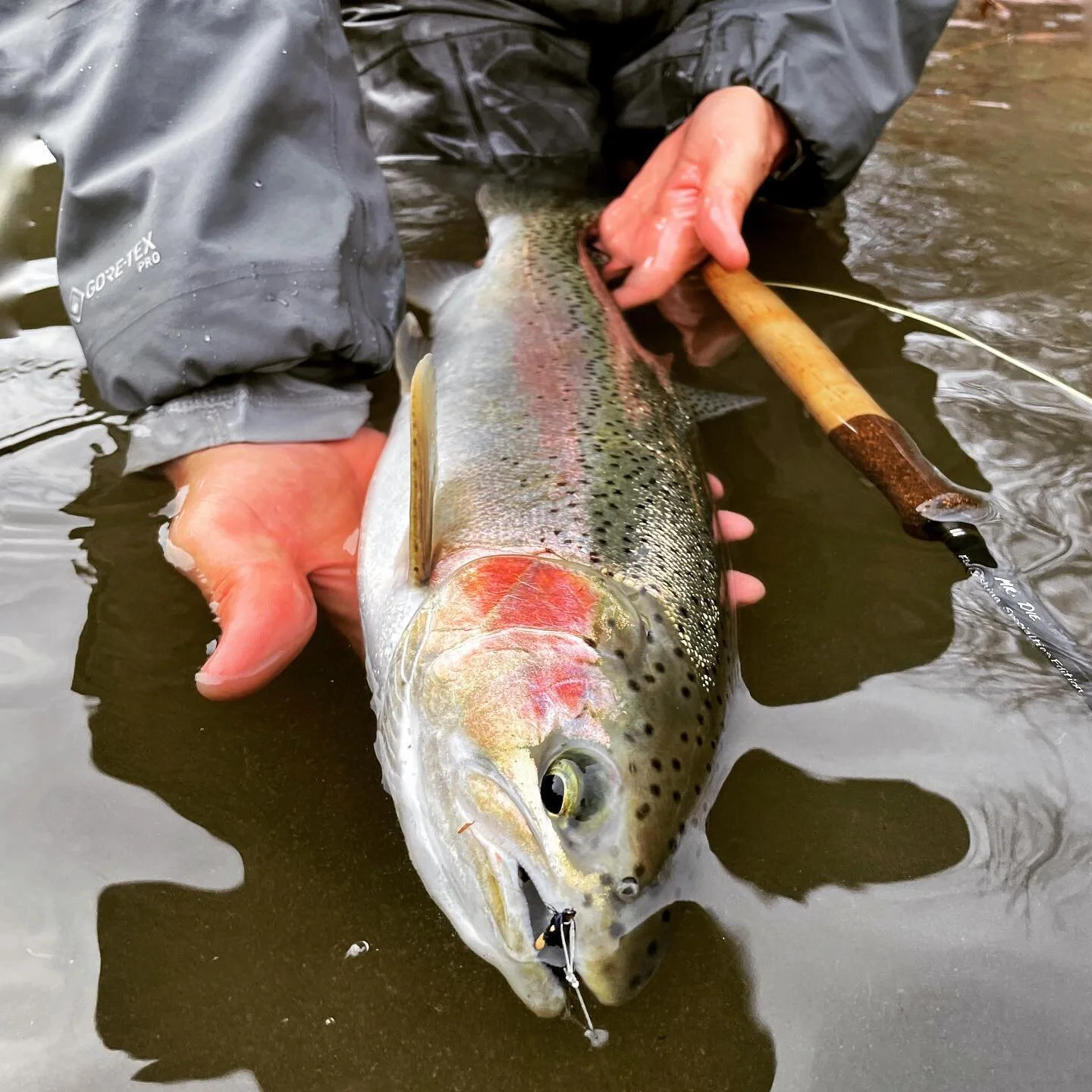 SPECIALIZED FLY FISHING GEAR, NORTHERN CALIFORNIA GUIDE SERVICES