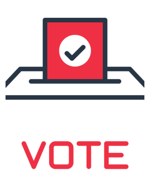 2023 Election process