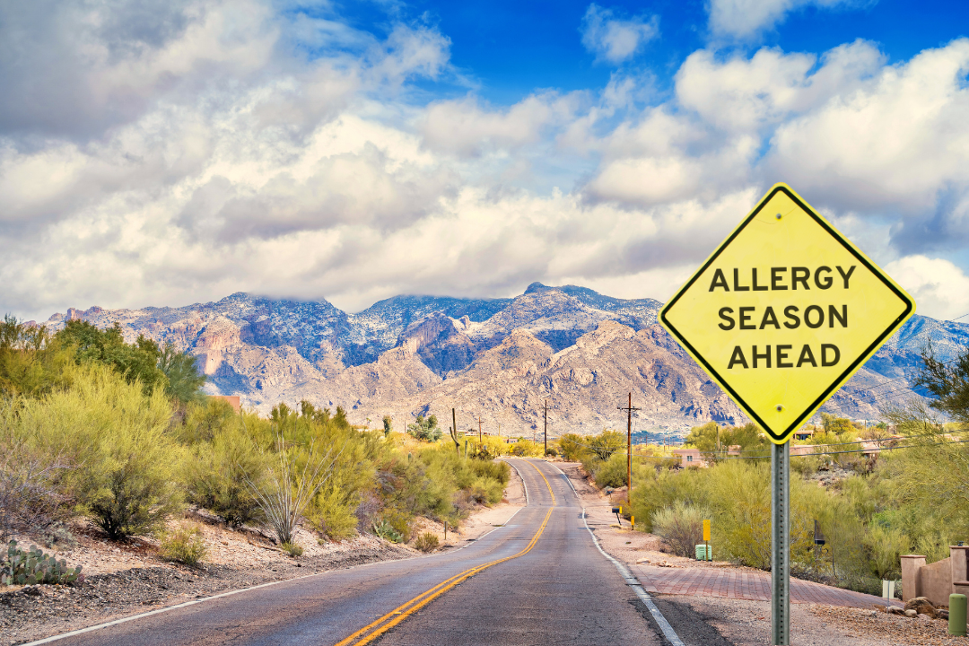 Gearing up for Spring in Tucson