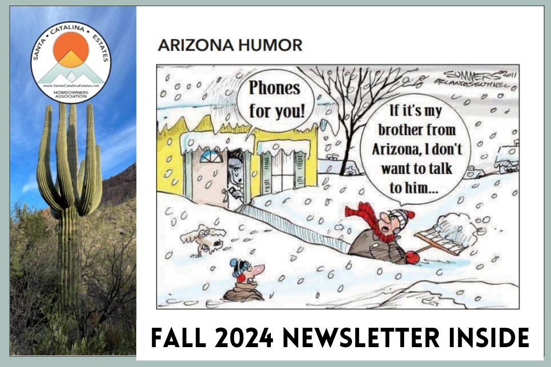 Exciting News: Our SCE HOA Newsletter Gets a Fresh Look!