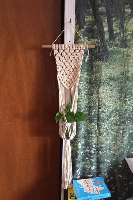 Beautiful macrame plant hanger completed by a student in a workshop. Propagated pothos, epipremnum aureum, for the client.