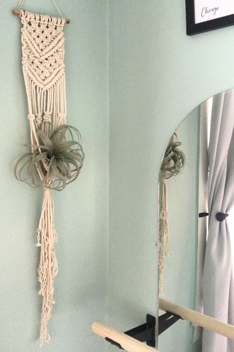 A beautiful plant hanger made by a student in one of my workshops. Dying over this xerographica (air plant) that she paired with it!