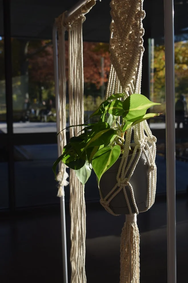 2018.11.4_Macrame_CREDIT Dylan House35.JPG