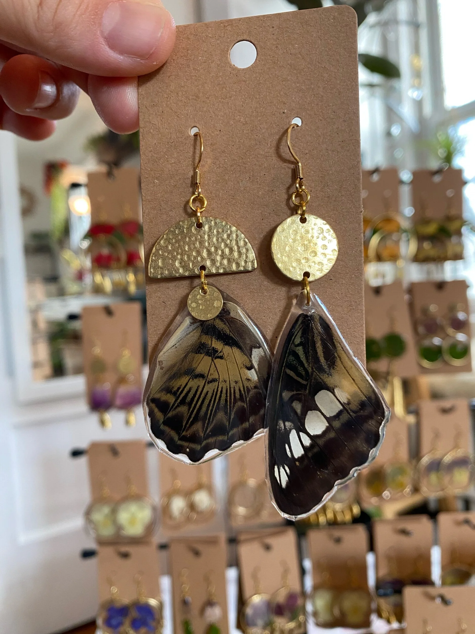 Charmed Wings - Black & Brown