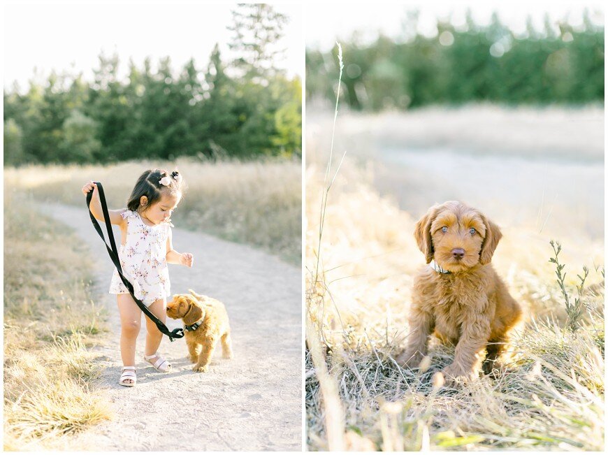 los-angeles-family-photographer-puppy-and-baby-walking