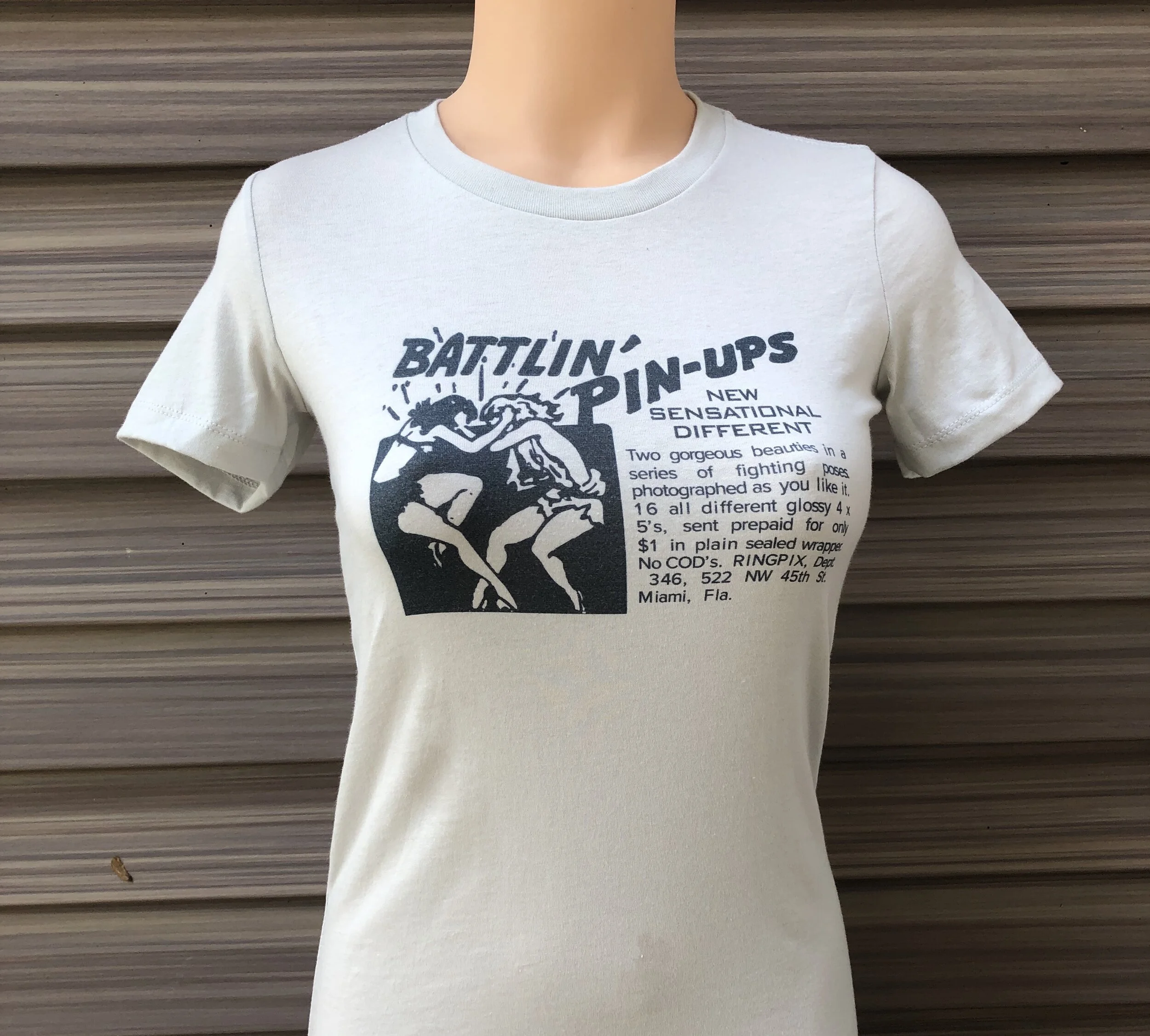 Battlin' Pin-Ups.jpg