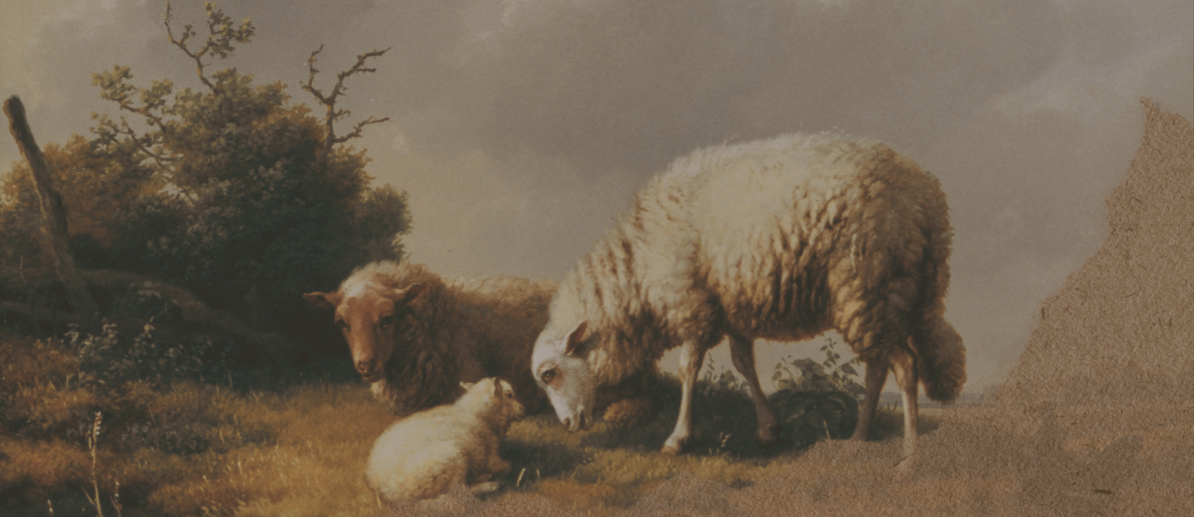 sheepslides.png