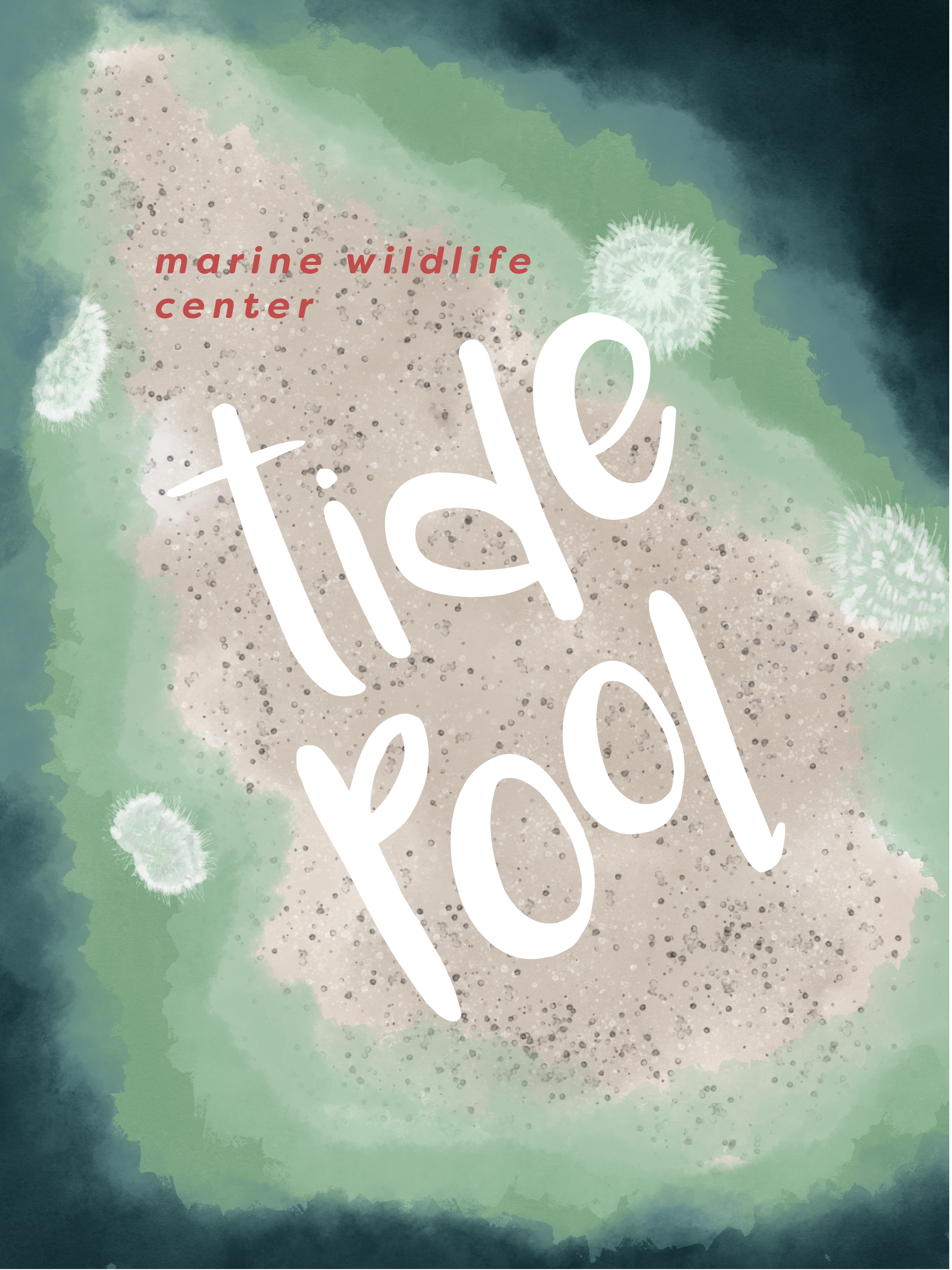 tidepoolroundonedesigns-01.png