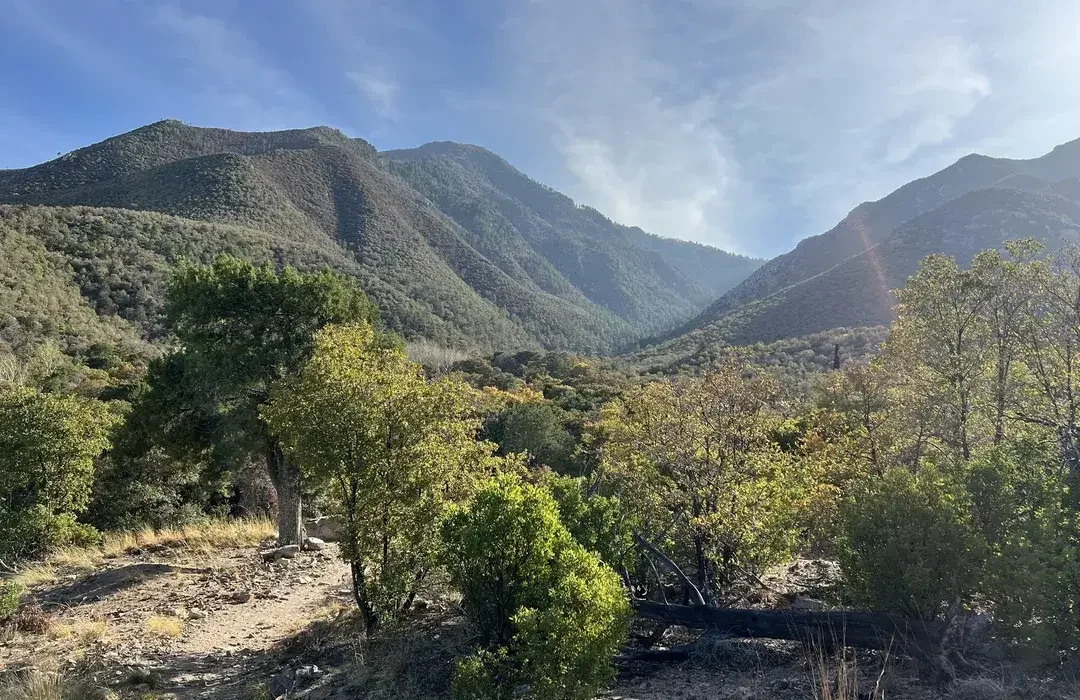 Hike at Miller Canyon in Hereford, AZ