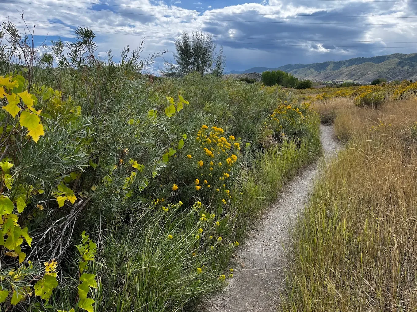 Walk at Denver Audubon, Waterton in Littleton, CO