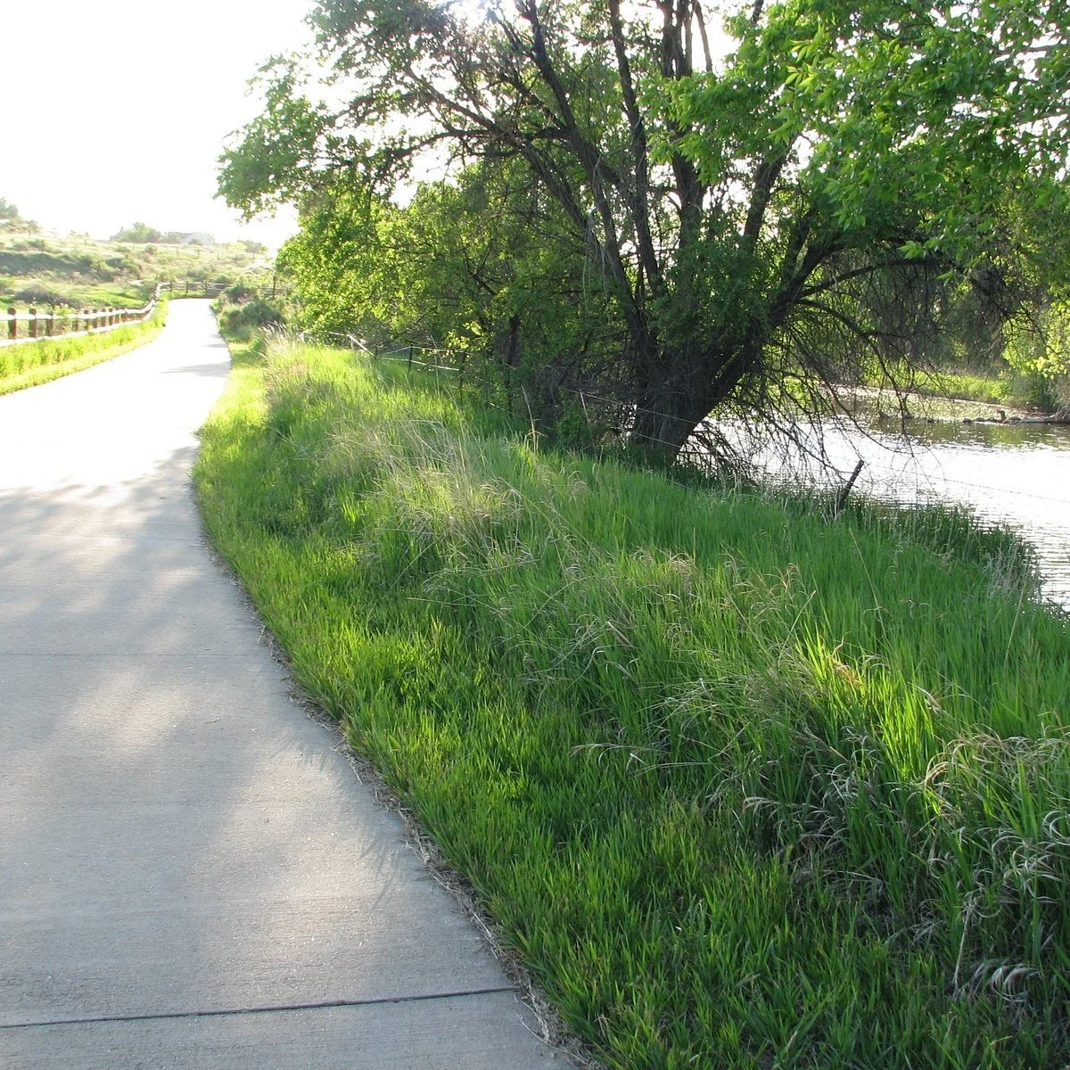 Walk on the Poudre Trail in Windsor, CO