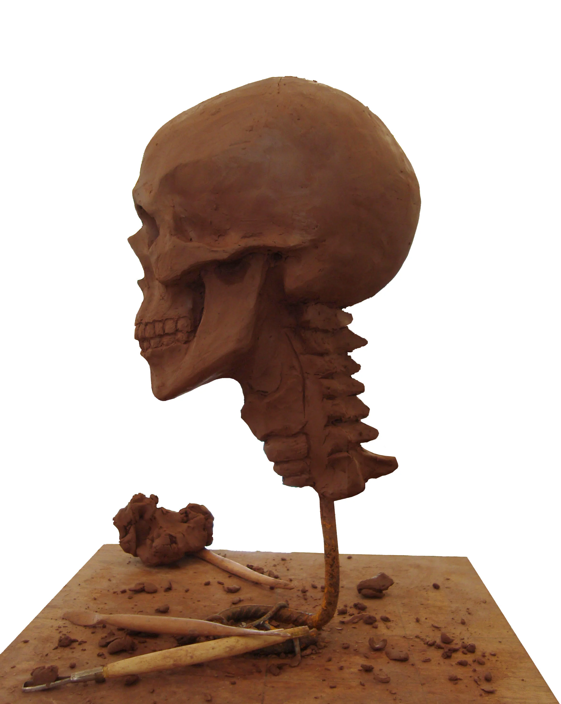 skull-real-scale.jpg