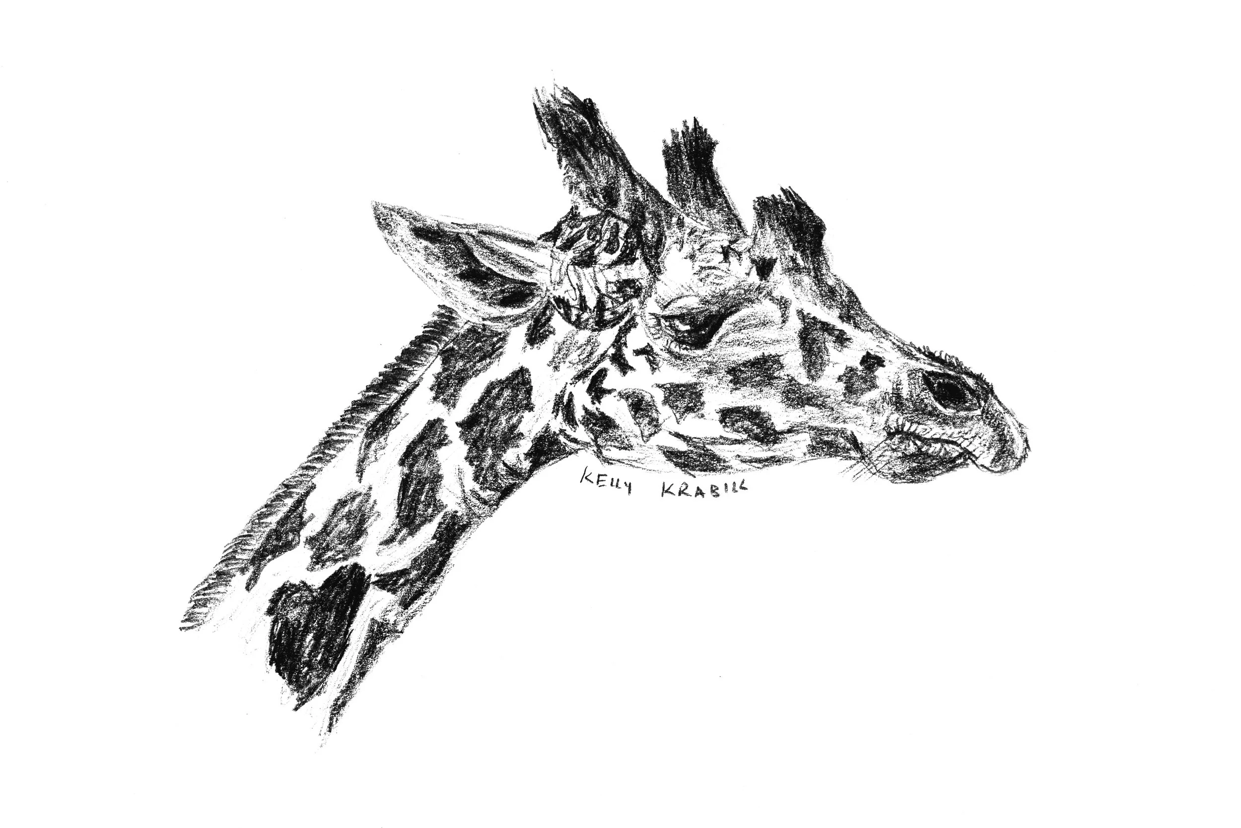 drawing_giraffe.jpg