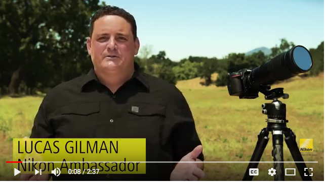 Access CC yes video.png