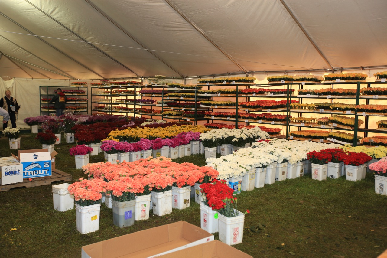 Tens of thousands of blooms awaited staging in the Rosemont Pavilion flower tent. (Photo: Buddhist Tzu Chi Foundation)