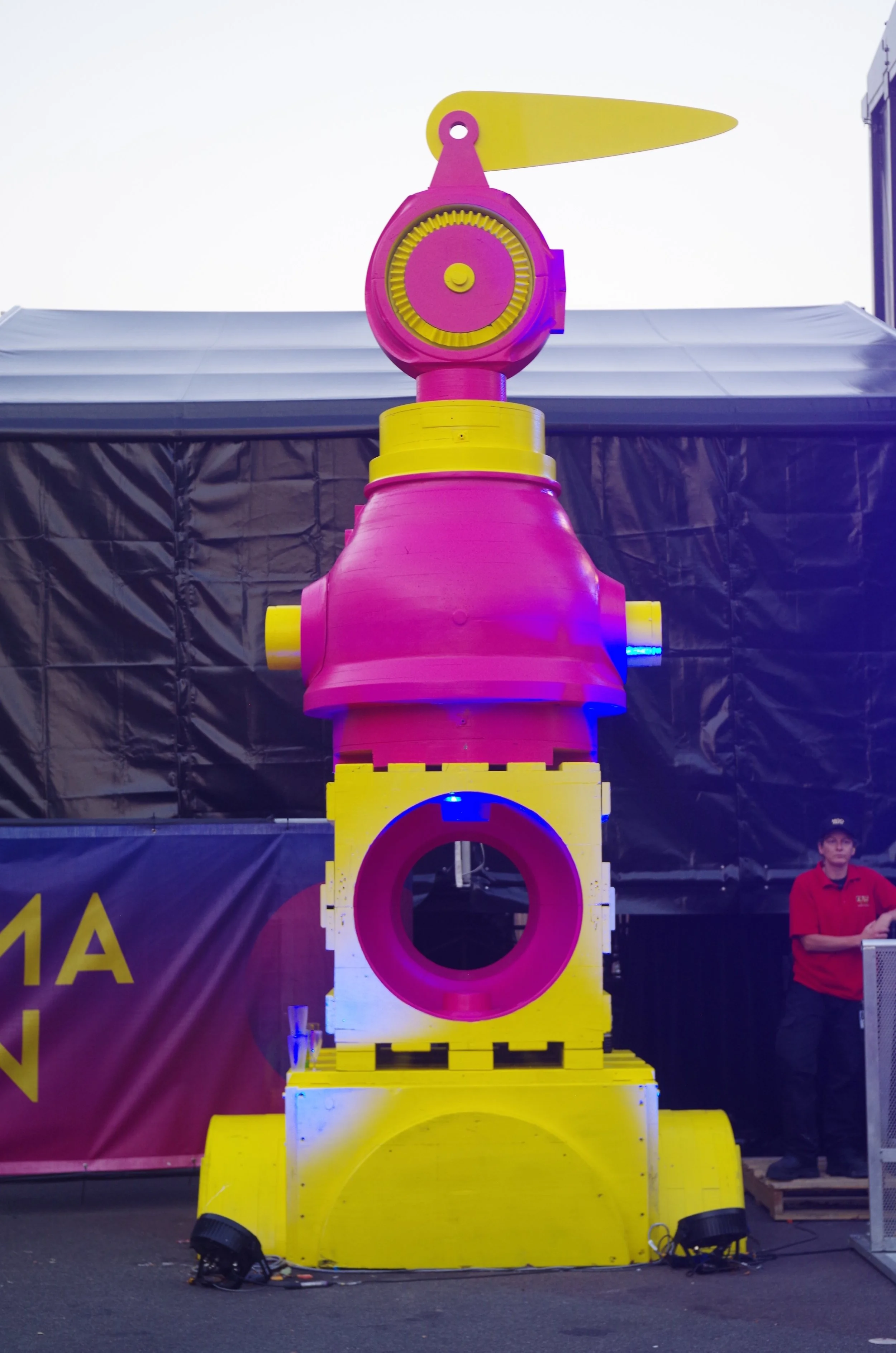 IMGP3895.jpg