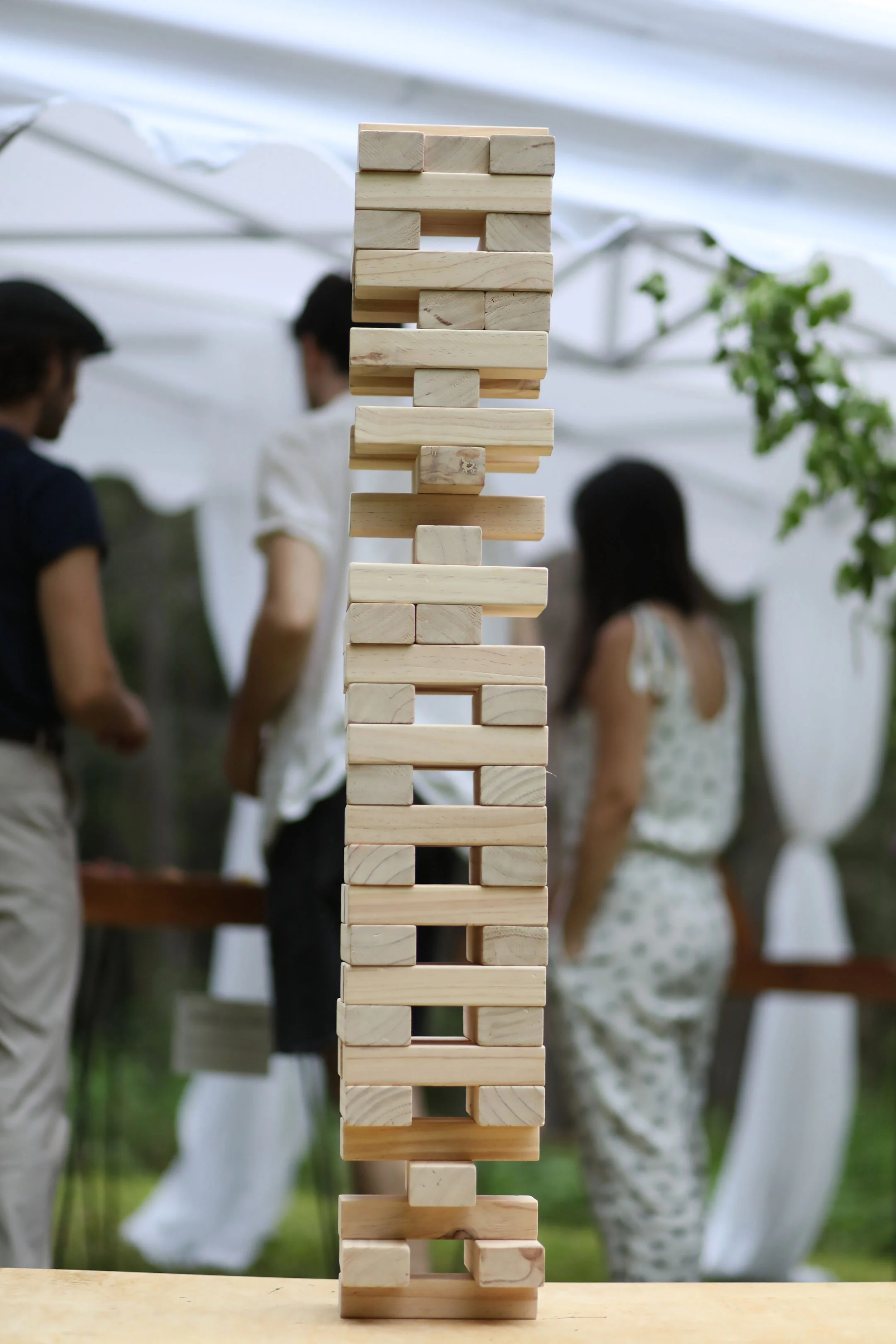 Upstate Jamboree Hudson Valley NYC Wedding Games for Hire Rentals Vendor New York 278.jpg