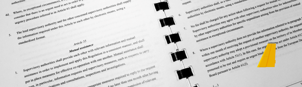 GDPR Book with Tail.PNG