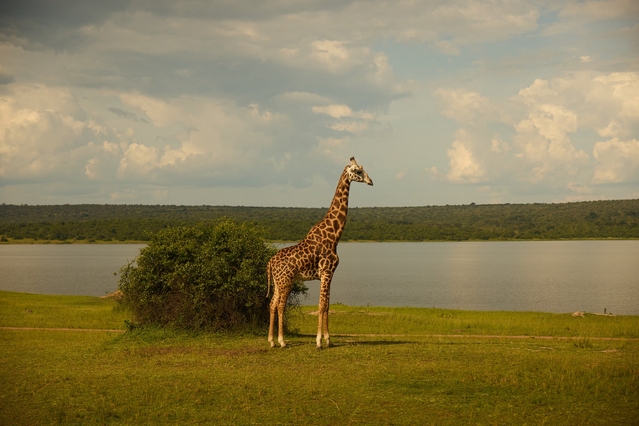 Preview_Bartick_CNT_Wilderness_CW9A1694.jpg