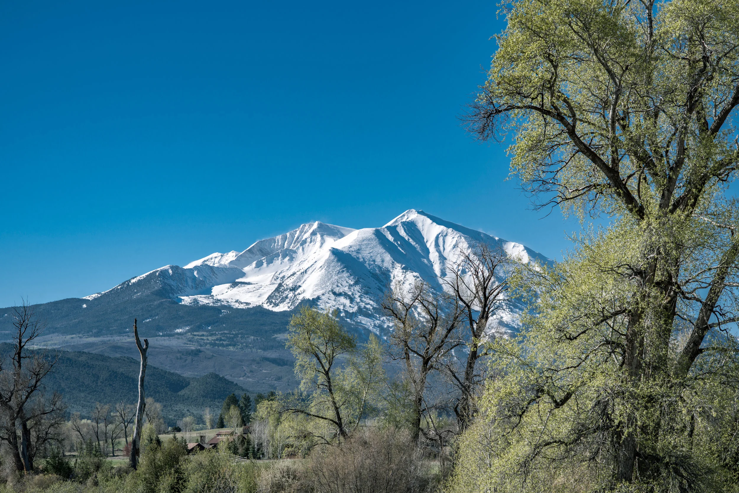 SOPRIS-COLOR-1.jpg