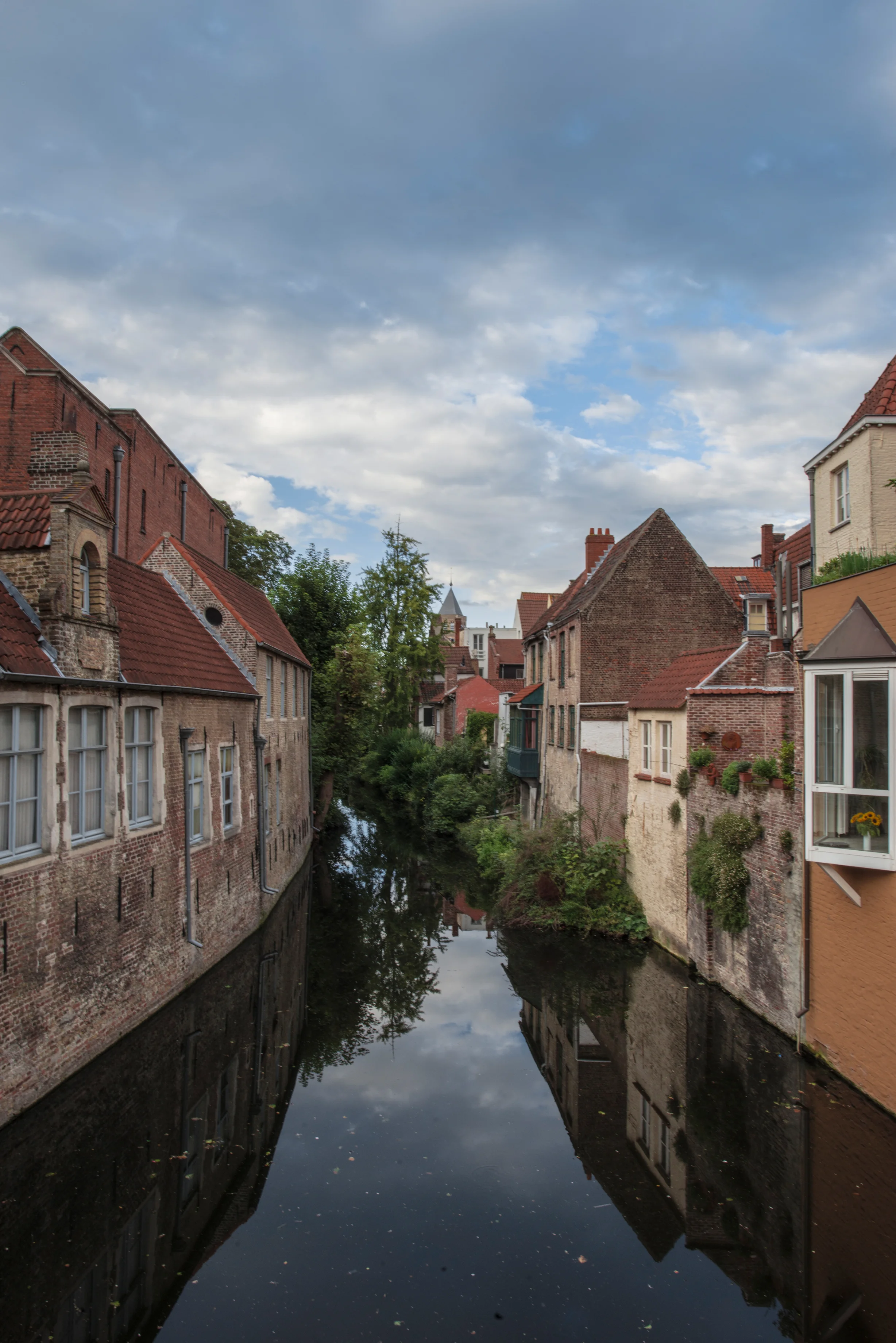 BRUGE-1.jpg