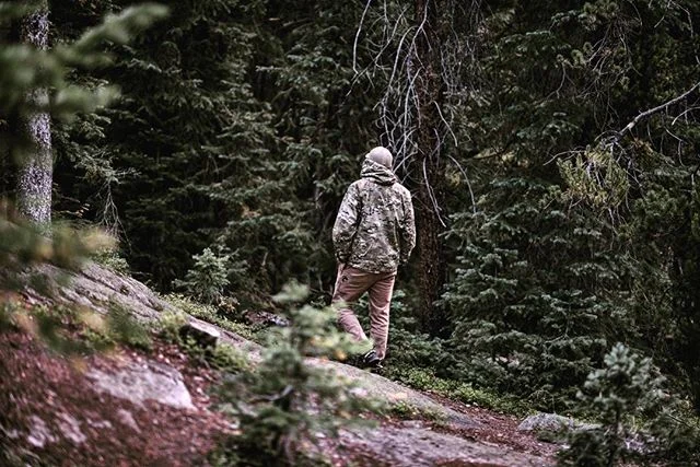 🌲🌲🌲🍁🍂🌲🌲🌲