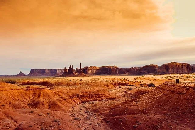 I spy a horse or four.