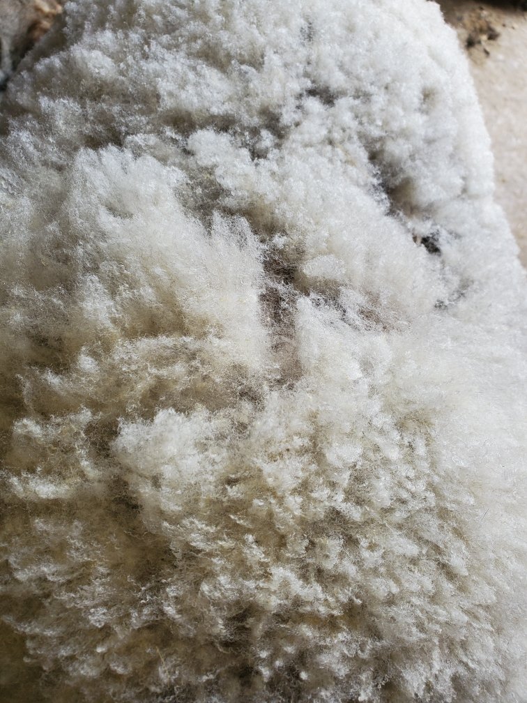 Fleece & Feather Farm, LLC