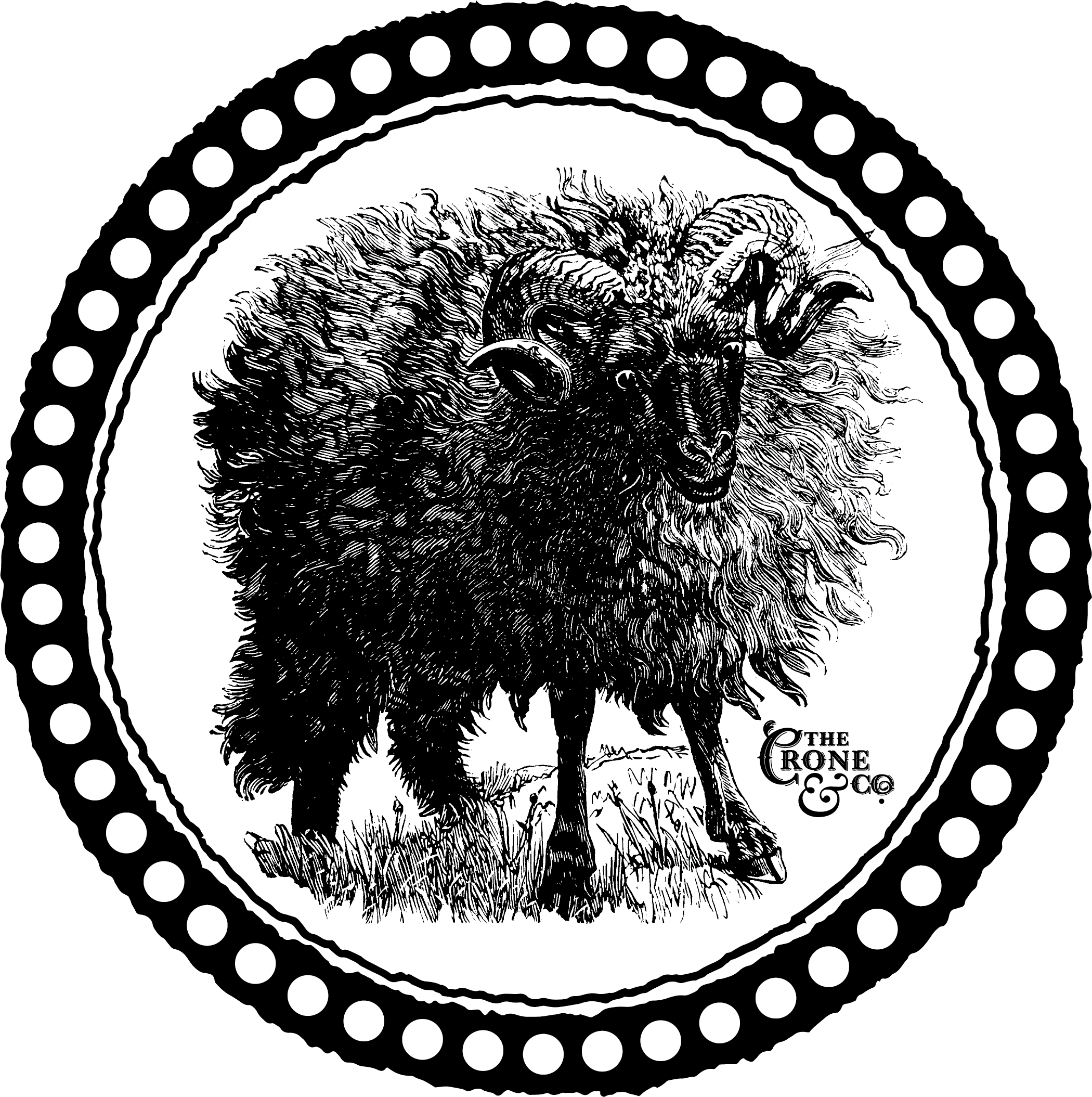 The Crone & Co MARK ONLY - Dara Pond.png