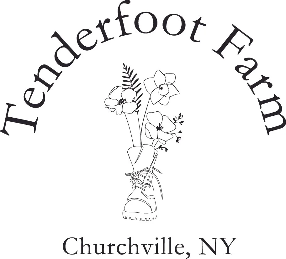 TFarm_CircleLogo - Stephanie Castle.jpg