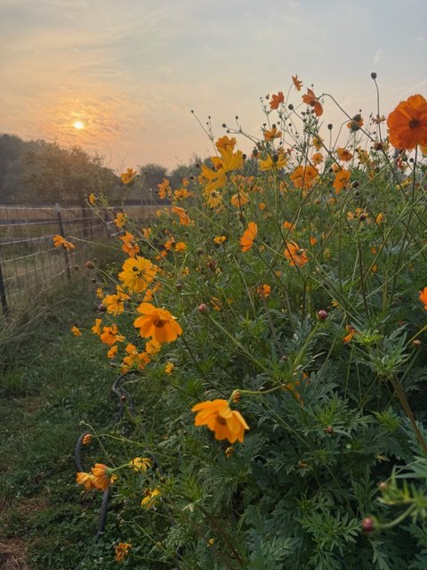 Crown Hill Farm