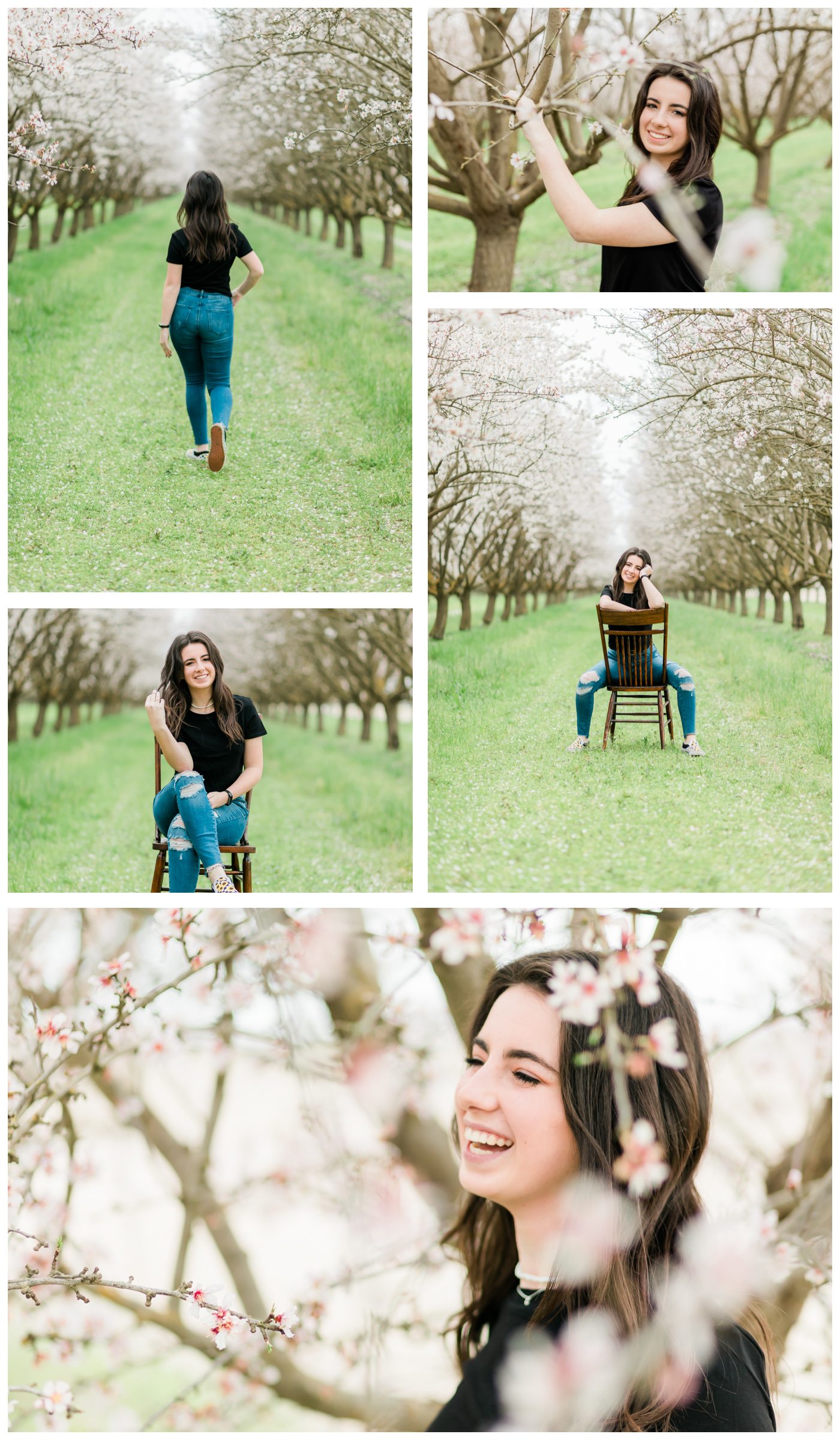 senior girl in the blossoms collage