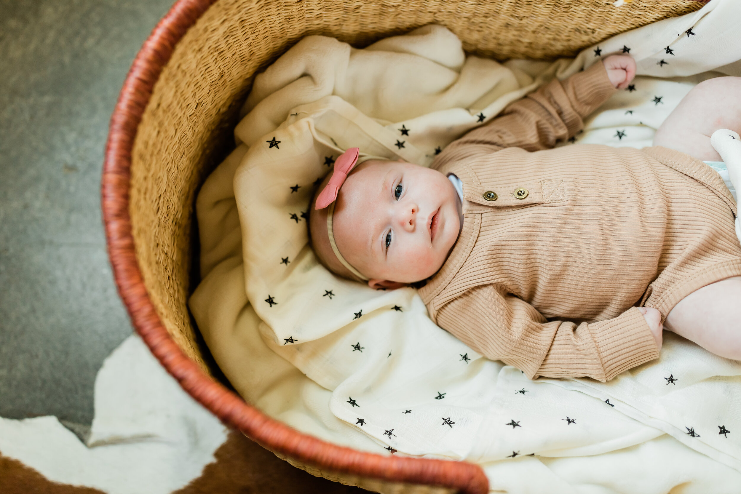newborn baby in a moses basket