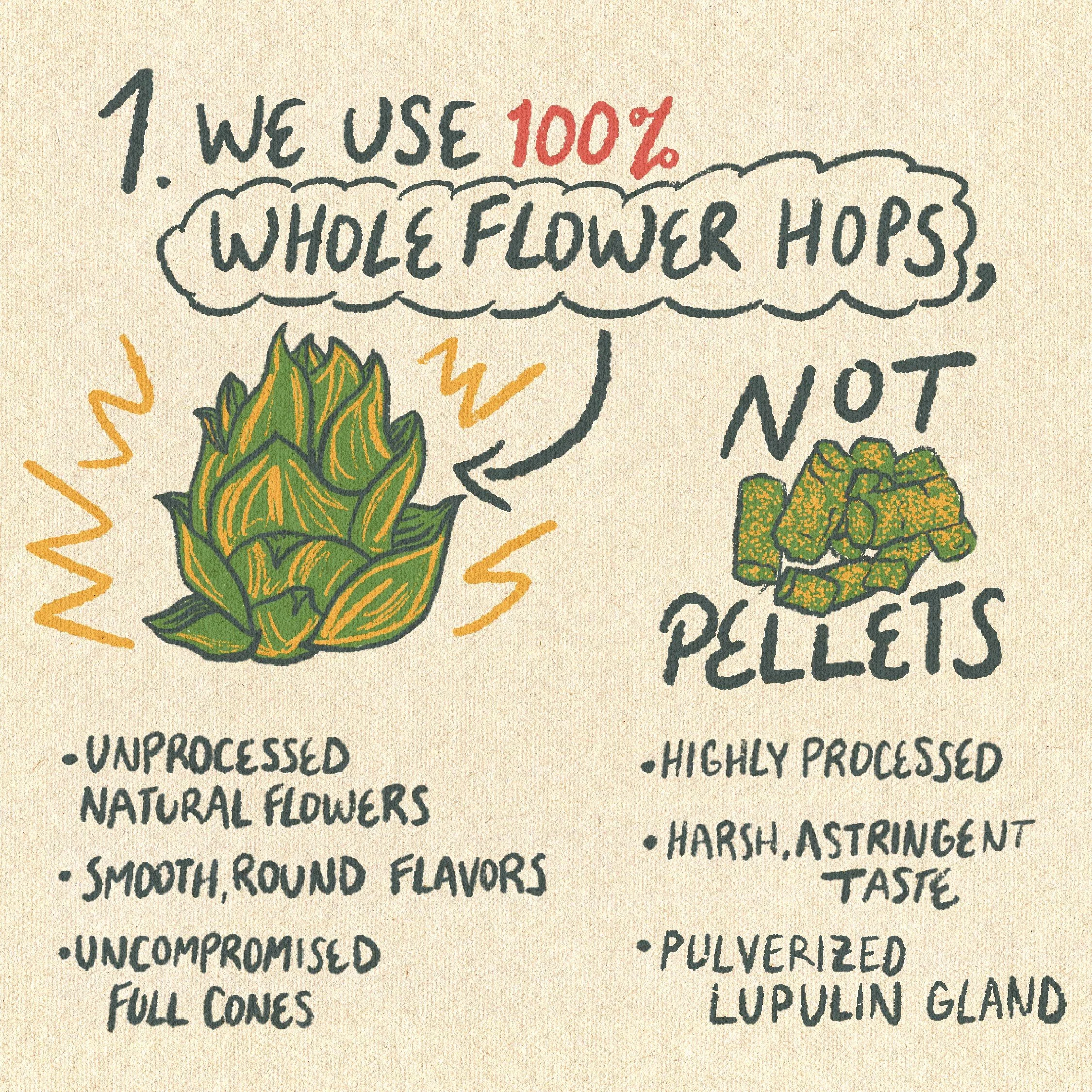 What do we mean when we say "No Bullshit Beer"?