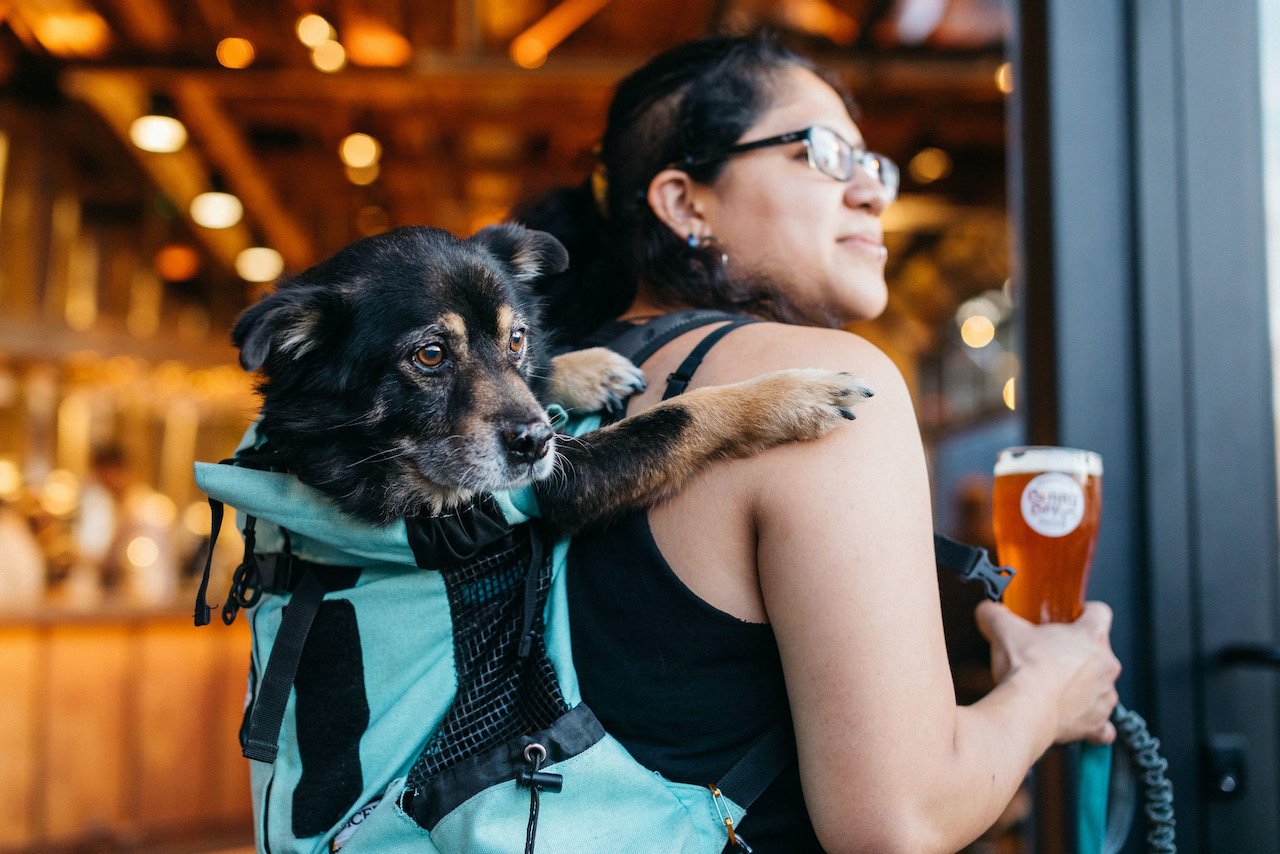 A person with a dog in their backpack and a beer in hand