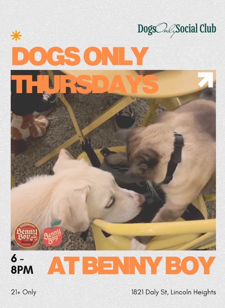 Dogs Only Social Club