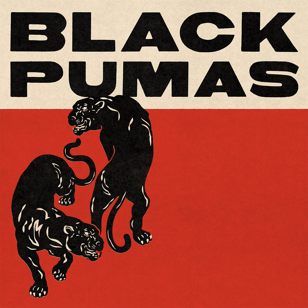 black puma colors