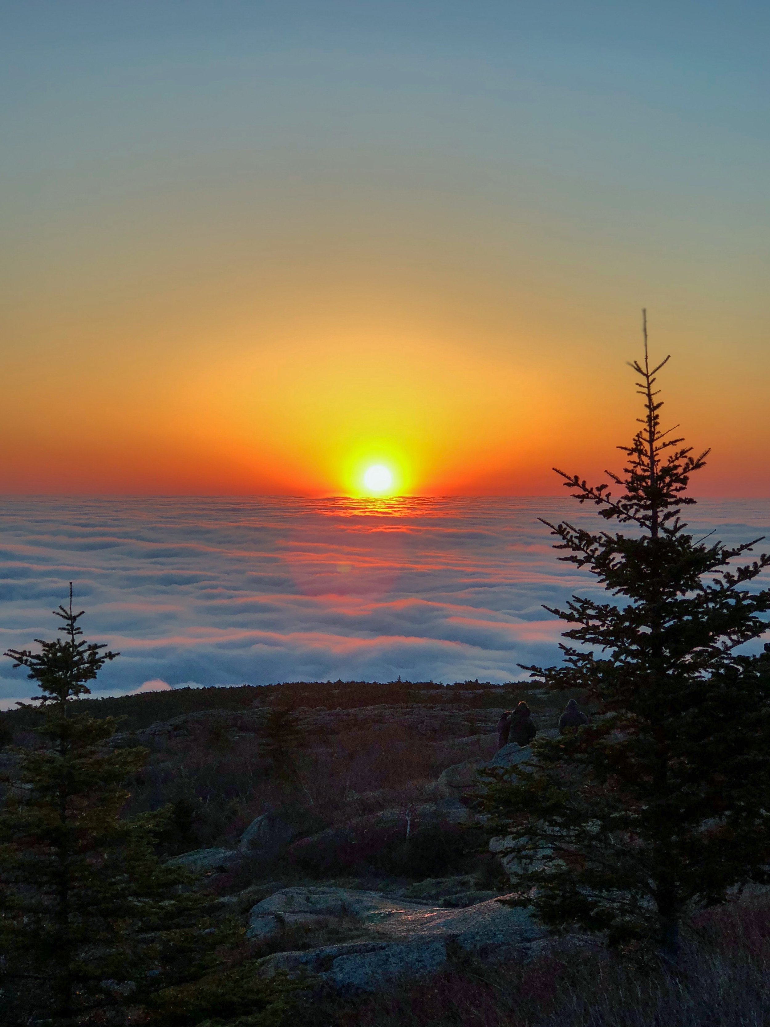 sunrise from cadillac mountain.JPEG
