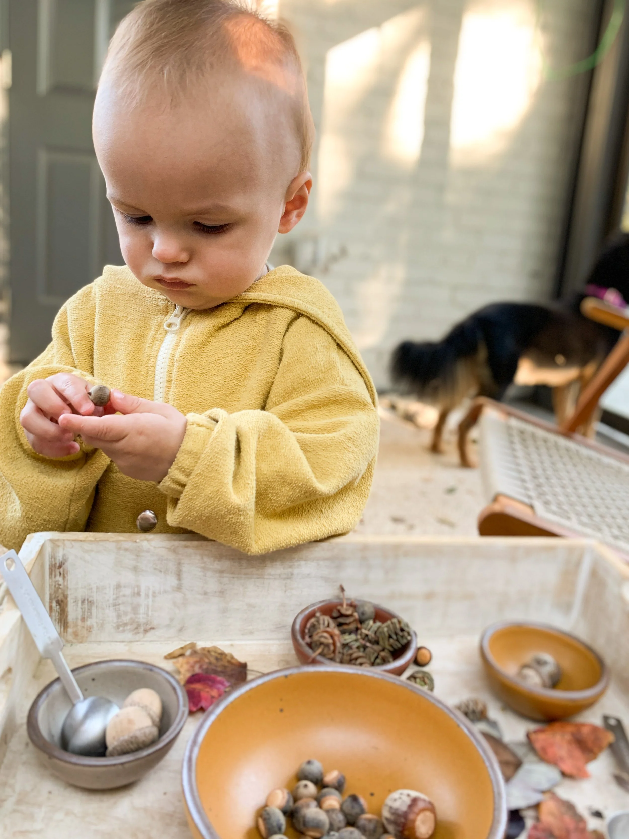 Fall Toddler Activity. 