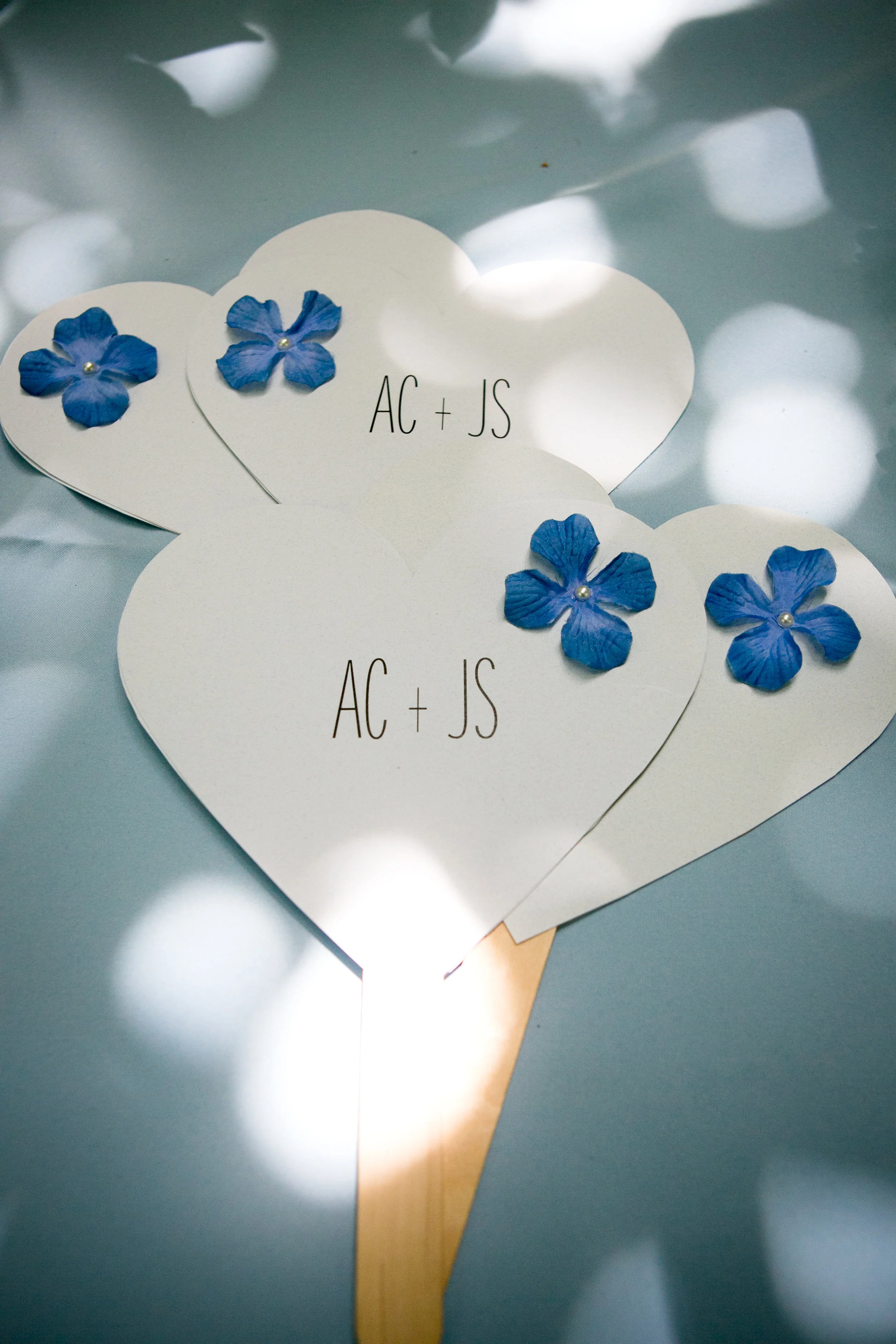 AJS-286.jpg