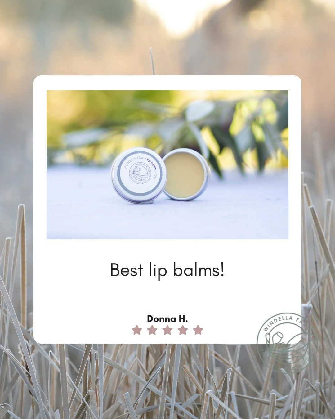 Soft, kissable lips are just one step away with our Honey Hemp Lip Balm.

#WindellaFarm #NaturalSkincareAustralia #beeswaxlipbalm #CrueltyFreeBeauty #lipbalm #NourishYourSkin #SensitiveSkinFriendly #MatureSkinCare #SlowBeauty #AustralianMade #EcoFrie