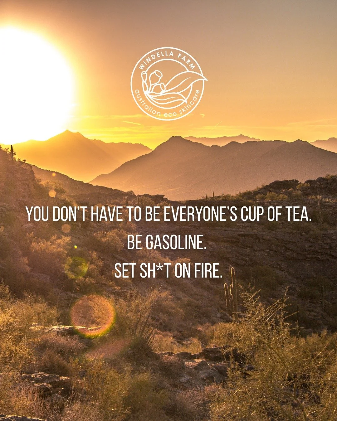 🔥🔥🔥

#WindellaFarm #HandmadeSkincare #AustralianMade #EcoFriendlyLiving #BehindTheScenesBeauty #ArtisanMakers #GreenBeautyTribe #NaturalBeautyCommunity #SlowBeauty #PlasticFreeSkincare #CrueltyFreeBeauty #SupportLocalAustralia #ConsciousLiving #Ma