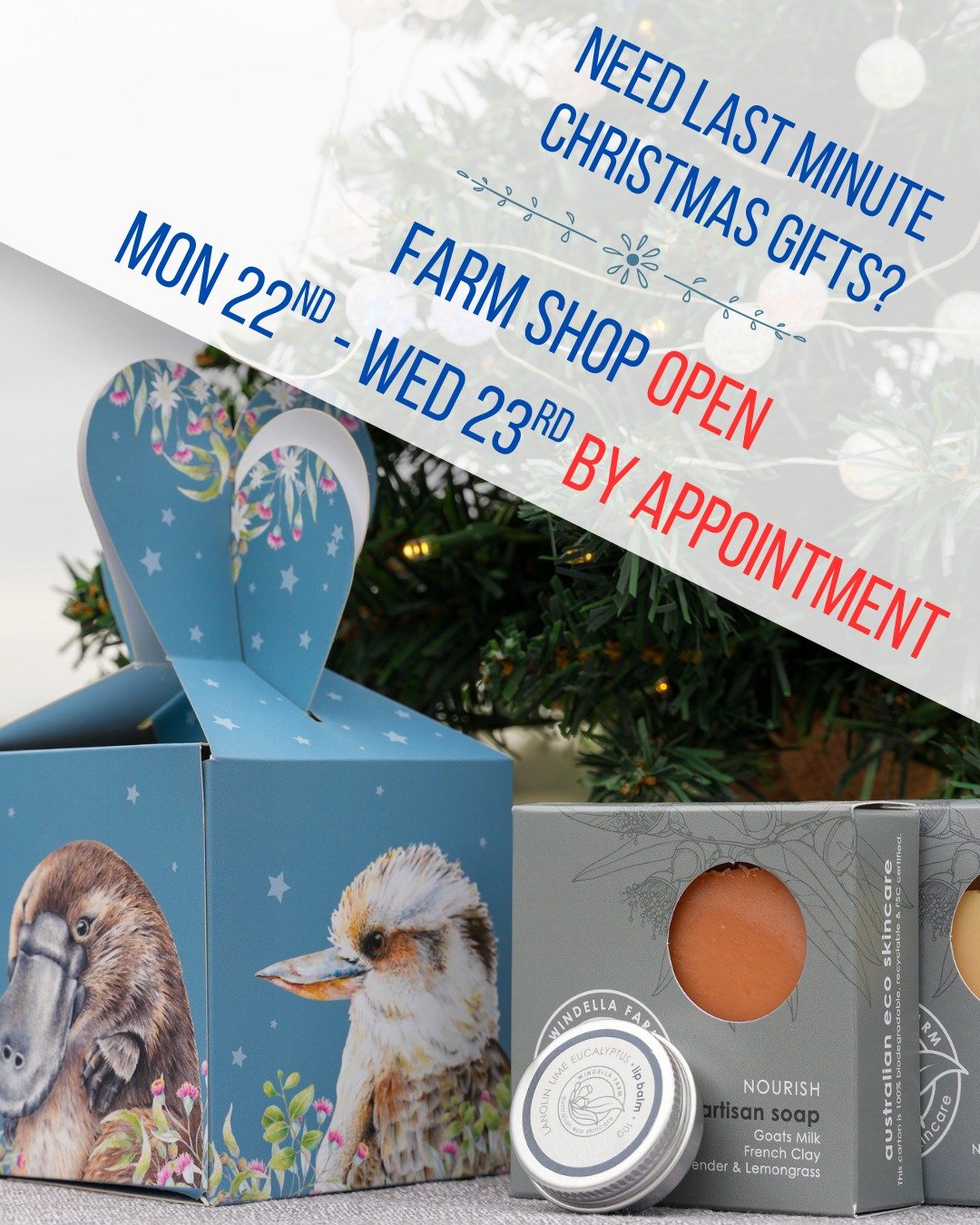 Need last minute Christmas gifts and starting to feel the pressure?
I&rsquo;ve got you covered.

The Windella Farm shop will be open by appointment from Mon 22nd to Wed 23rd, perfect if you&rsquo;re local and need to grab something thoughtful without