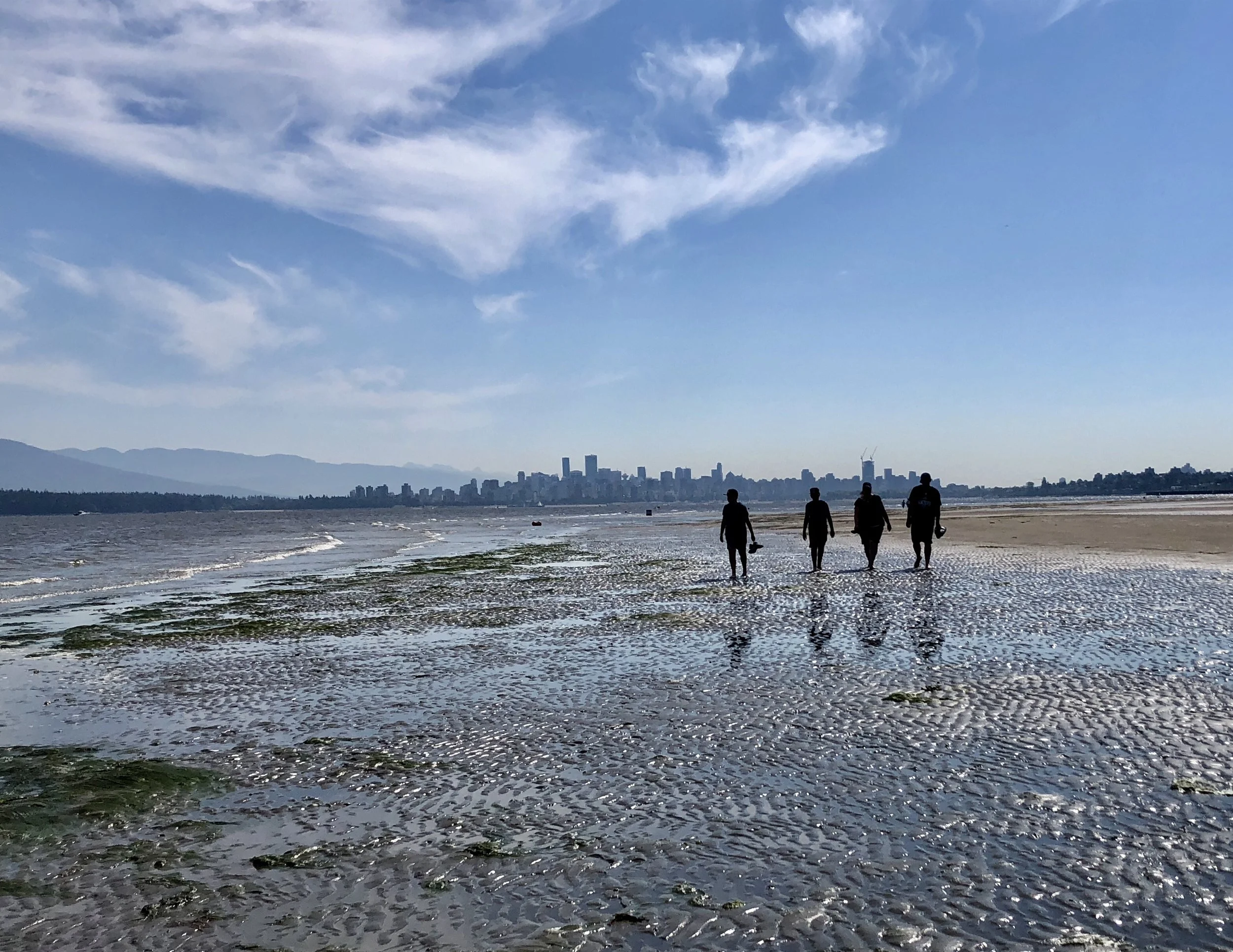 Mcrae Gang at Low Tide