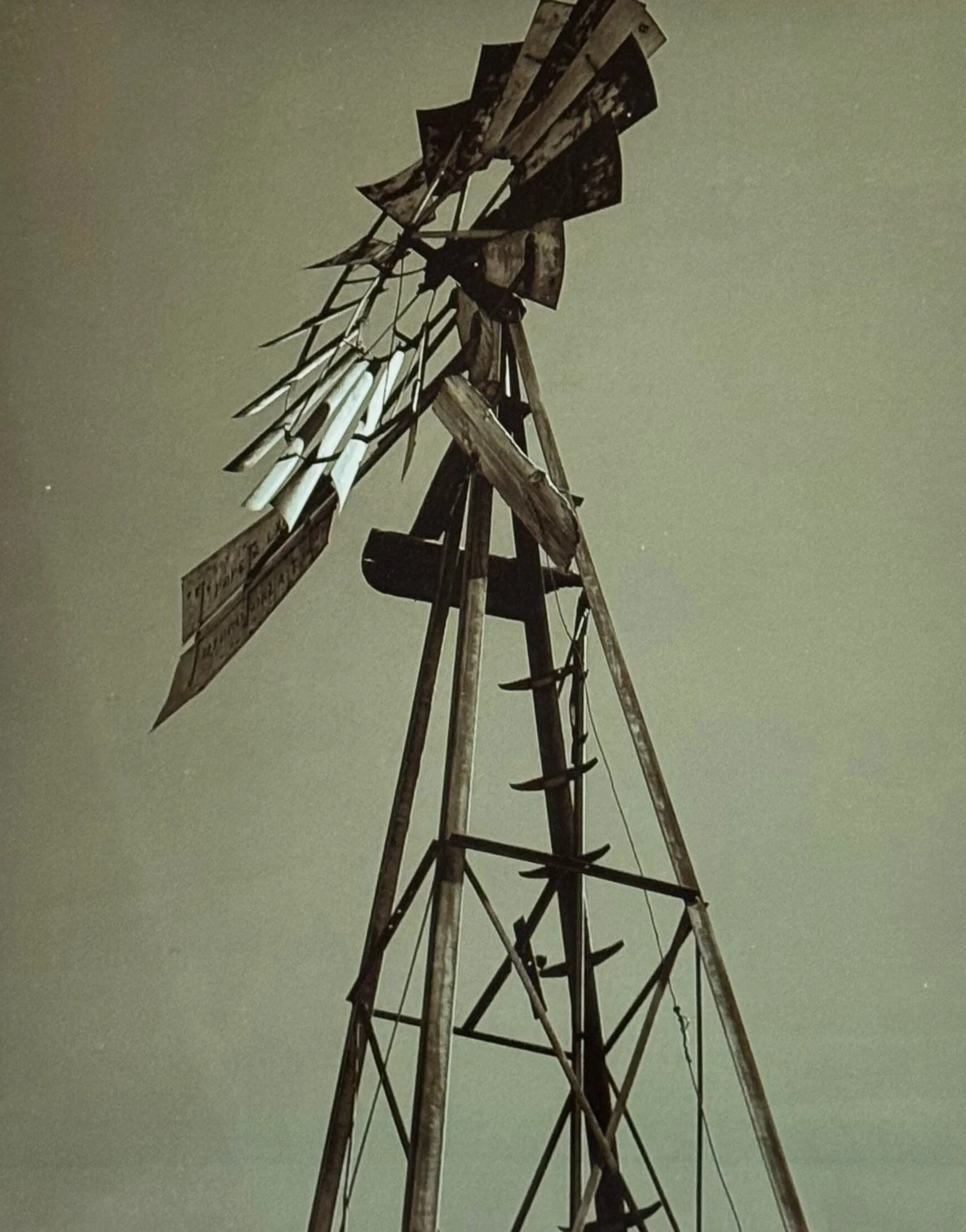 Waiting on the Wind.jpg