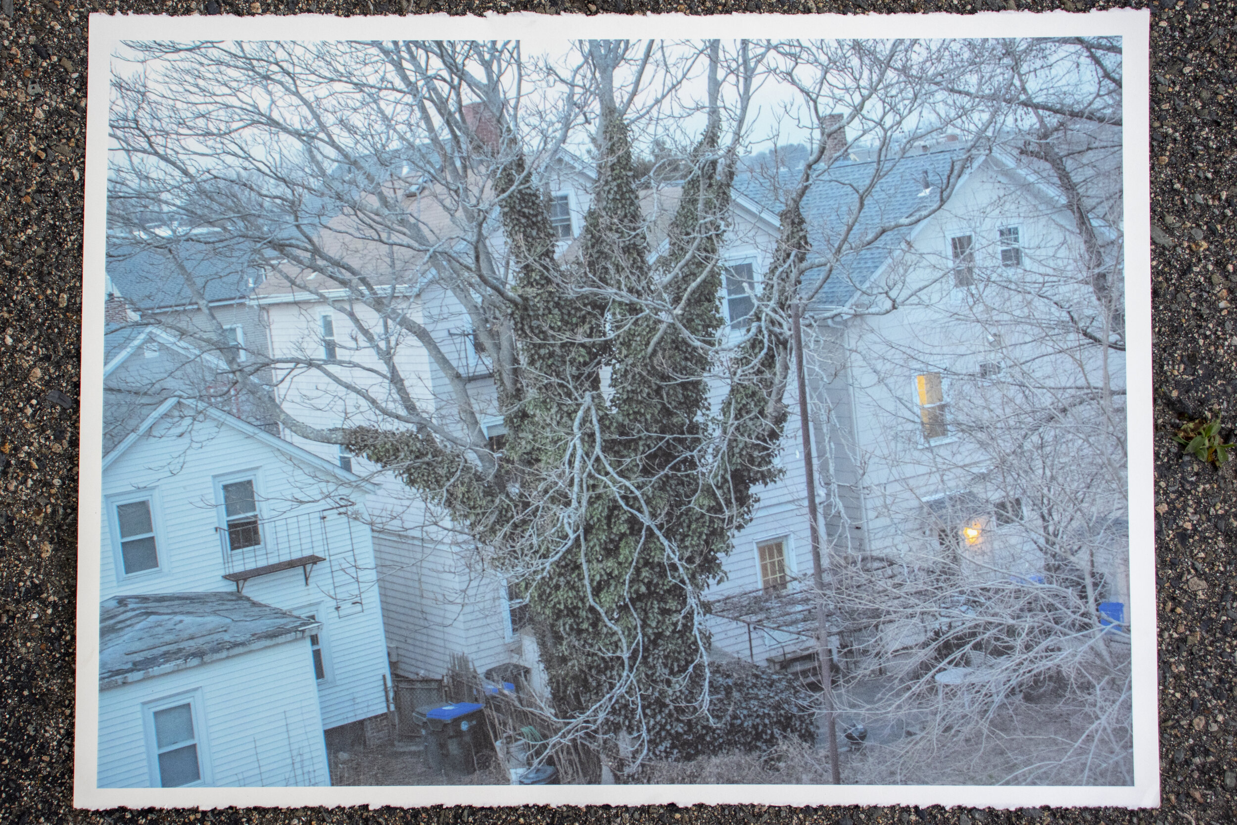 IMG_1530edited.jpg