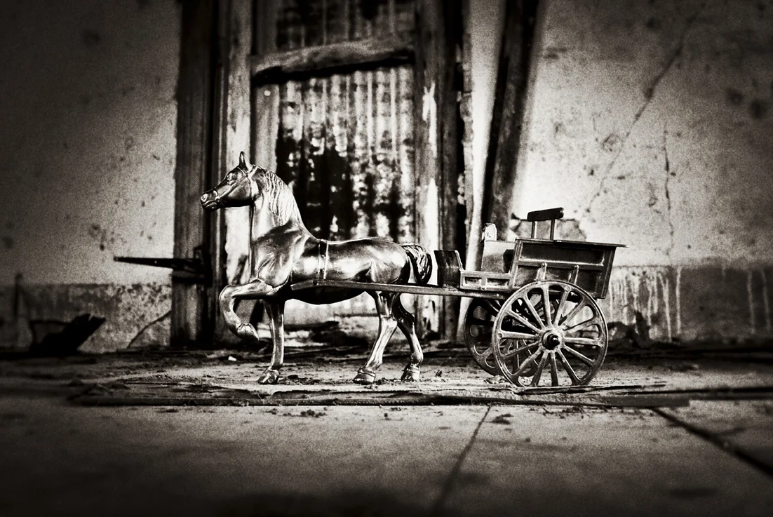 TBailey_Arriving in style.jpg