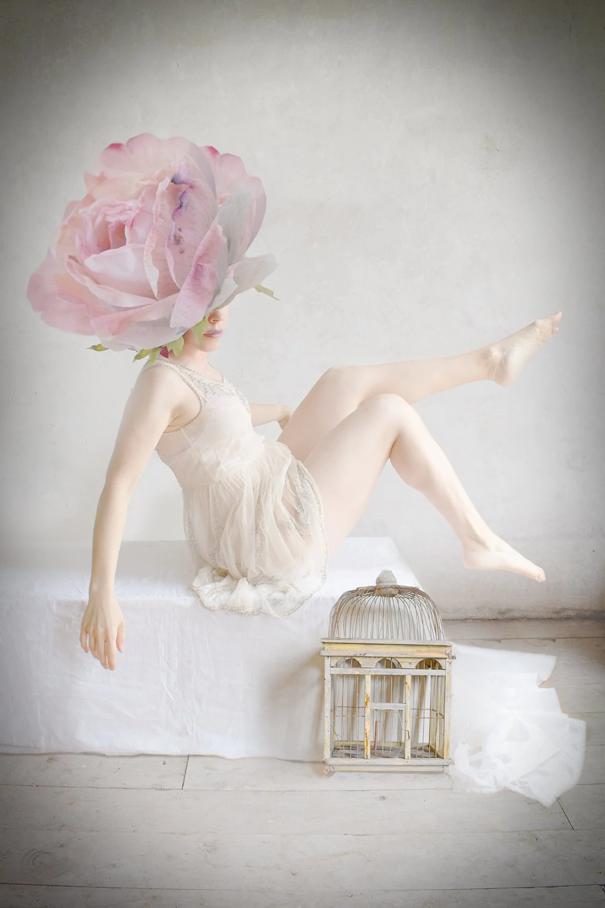 Bloom and caged2.jpg